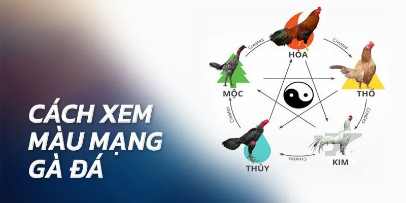 Hướng dẫn cách xem dựa vào 12 con giáp