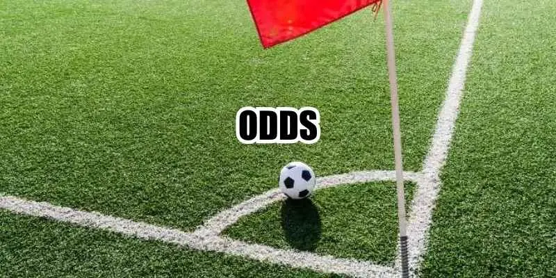 Người chơi đánh giá Odds kỹ trước khi vào tiền